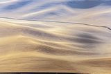 222_P_R3__1095.jpg