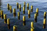 404_P_R6_28081.jpg