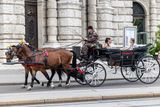 116_Vienna_P_RF_69442.jpg