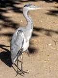 S_0477_OM1B0359.jpg