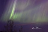  Aurora Borealis - Aurore Borale 