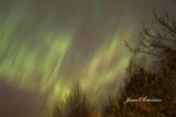  Aurora Borealis - Aurore Borale 