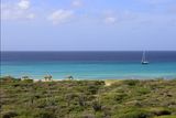 IMG_3450B.jpg