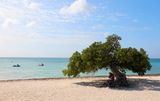 IMG_3675B.jpg