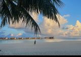 IMG_0218B.jpg