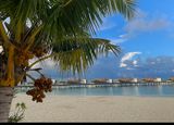 IMG_0247B.jpg