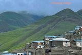 IMG_3168B copy.jpg