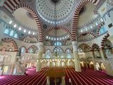 IMG_6675B.jpg