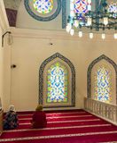 IMG_6677B.jpg