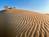 IMG_6762B.jpg