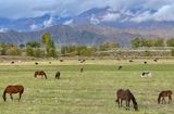IMG_8835B.jpg