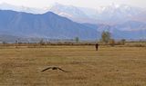 IMG_0356B.jpg