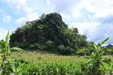 IMG_6207.JPG