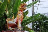IMG_6224.JPG