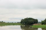 IMG_6658.JPG