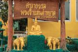 IMG_6677.JPG