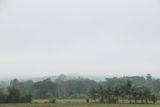 IMG_6794.JPG