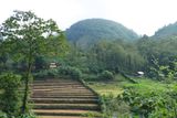 IMG_6861.JPG