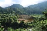 IMG_6865.JPG