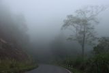 IMG_6939.JPG