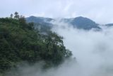 IMG_6945.JPG