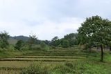 IMG_6948.JPG
