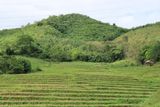 IMG_6987.JPG