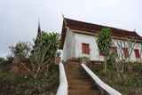 IMG_7029.JPG