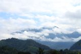 IMG_7558.JPG