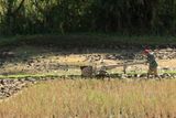 IMG_7569.JPG