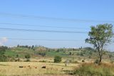 IMG_7638.JPG