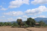IMG_7647.JPG