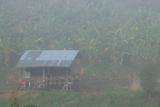 IMG_7652.JPG