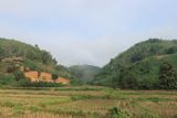 IMG_7681.JPG