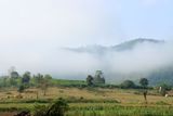IMG_7685.JPG