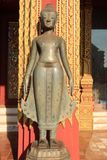 IMG_7925.JPG