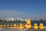 IMG_8175.JPG