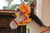 IMG_8181.JPG