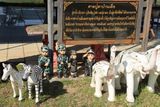 IMG_8193.JPG