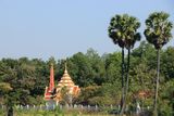 IMG_8230.JPG