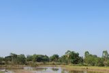 IMG_8231.JPG