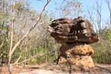 IMG_8318.JPG