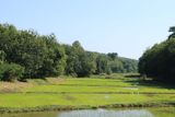 IMG_8363.JPG