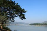 IMG_8419.JPG