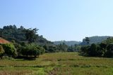 IMG_8428.JPG