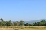 IMG_8657.JPG