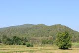IMG_8729.JPG