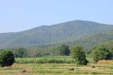 IMG_8730.JPG