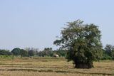 IMG_8731.JPG