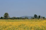 IMG_8732.JPG